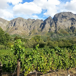 African Story Wine Tours (Tasting only on tours)