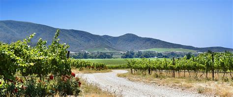 Arendsig Single Vineyard Wines