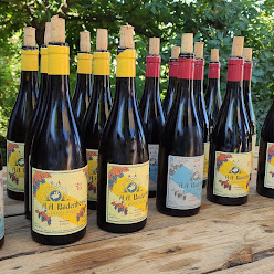 Badehorst Winery in Malmesbury