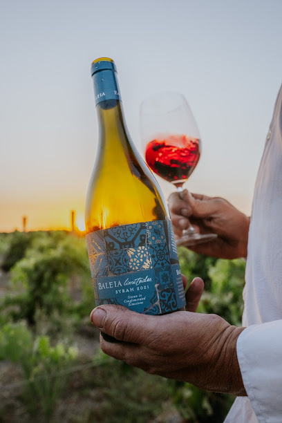 Baleia Wines in Swellendam