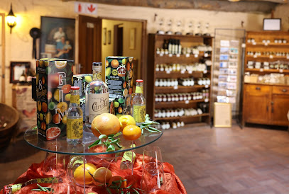 Boplaas Wine Cellar And Estate Brandy in Calitzdorp