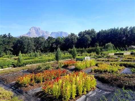 Boschendal in Franschhoek