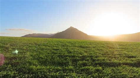 Boschrivier Wines in Cape Agulhas