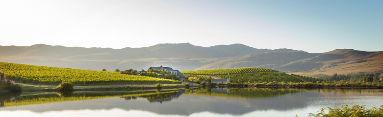 Creation Wines in Overberg