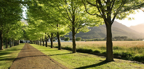 La Motte Wine Estate in Franschhoek