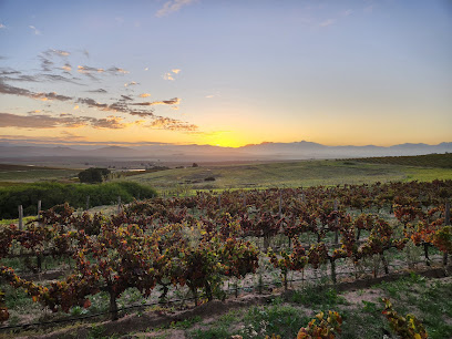 Lammershoek Winery in Malmesbury