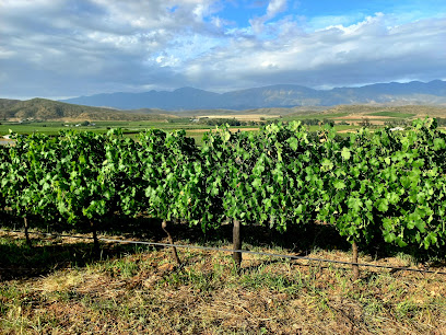Lozarn Wines in Langeberg