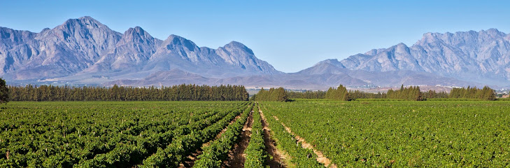 Merwida Wine Cellar in Rawsonville