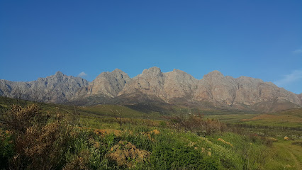 Rico Suter Wine Estate in Worcester