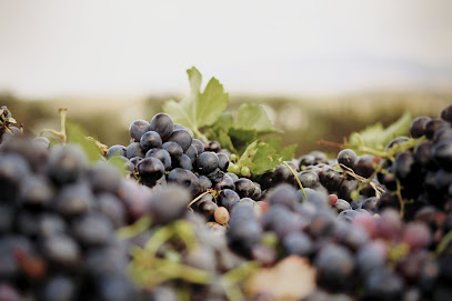 Rietvallei Wine Estate