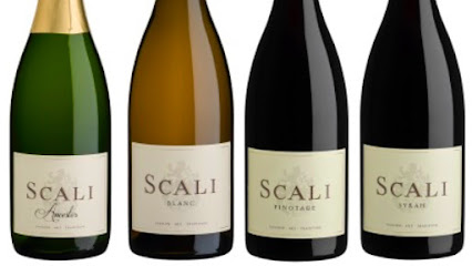 SCALI Wines in Paarl