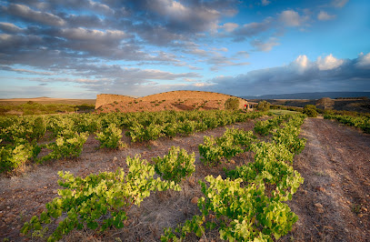 Sijnn Wines in Breede River