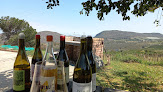South Cape Vineyards in Barrydale