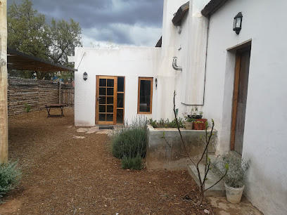 Southern Cape Vineyards in Ladismith