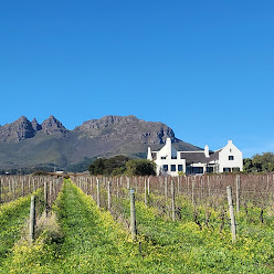 Stellenbosch wine tractor