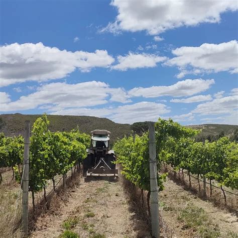 The Drift Farm in Napier