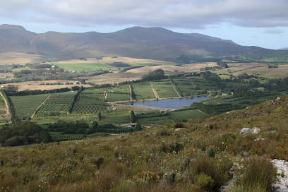 Tolbos Fruit And Wine in Caledon
