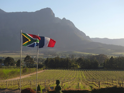 Topiary Wine Estate in Franschhoek